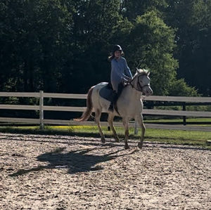 Meet your Posher, Bella